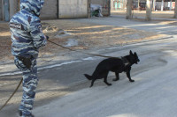 Служебная овчарка привела полицейских Хакасии прямо в квартиру к любителю ворованной водки