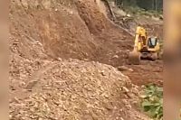 Руководитель золотодобывающего предприятия Хакасии подозревается в незаконной рубке леса