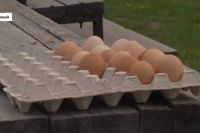 Жители села Хакасии пришли с ячейкой яиц на встречу с федеральным экспертом ОНФ