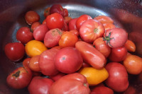 «Муж на кухне»: «блюдо за 10 минут» – карамелизованные помидоры