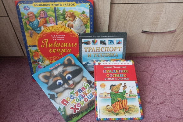 «Дарите книги с любовью»: в Абакане собирают книги для детских домов Донбасса
