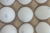 О ситуации с ценами на куриные яйца в Хакасии