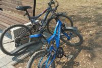 Житель Черногорска нашёл украденный у его дочери велосипед на сайте объявлений